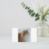 Norwegian_Forest_Cat Klantenkaartje (Staand voorkant)
