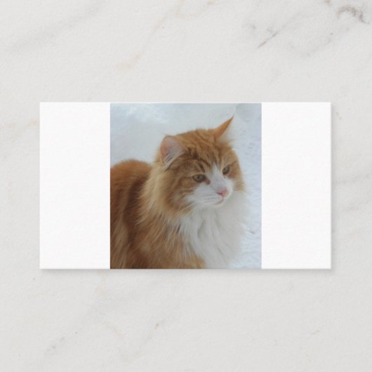 Norwegian_Forest_Cat Klantenkaartje (Voorkant)