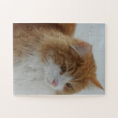 Norwegian_Forest_Cat Legpuzzel (Horizontaal)
