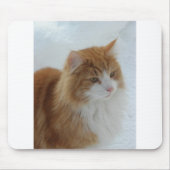 Norwegian_Forest_Cat Muismat (Voorkant)