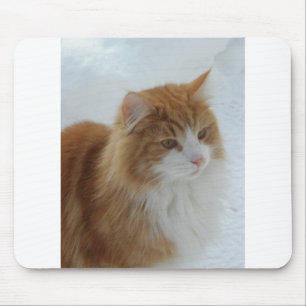 Norwegian_Forest_Cat Muismat