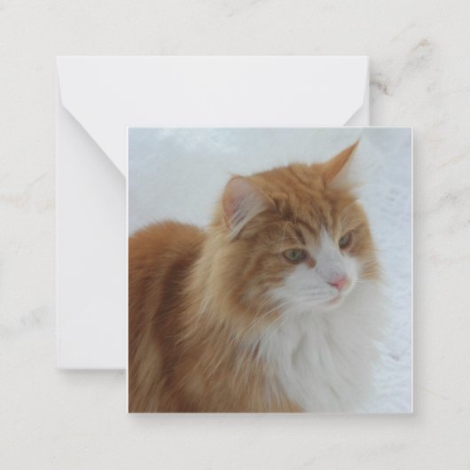 Norwegian_Forest_Cat Notitiekaartje (Voorkant)