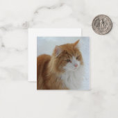 Norwegian_Forest_Cat Notitiekaartje (Voorkant / Achterkant in situ)