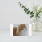 Norwegian_Forest_Cat Plaatskaartje (Staand voorkant)