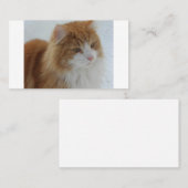Norwegian_Forest_Cat Plaatskaartje (Voorkant / Achterkant)