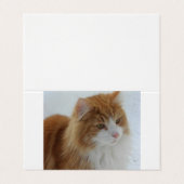 Norwegian_Forest_Cat Visitekaartje (Buitenkant ongevouwen)