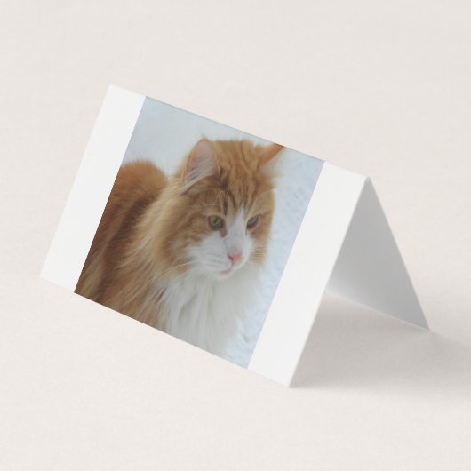 Norwegian_Forest_Cat Visitekaartje (Voorkant)