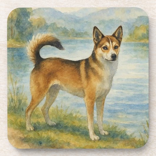 Norwegian Lundehund Bier Onderzetter (Voorkant)