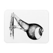 Norwich Cropper 1980 Magneet (Horizontaal)