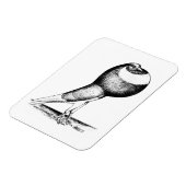 Norwich Cropper 1980 Magneet (Linkerzijde)