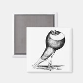 Norwich Cropper 1980 Magneet (Voorkant / Achterkant)