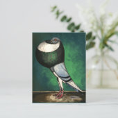 Norwich Cropper Blue Pied Briefkaart (Staand voorkant)