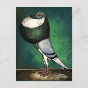 Norwich Cropper Blue Pied Briefkaart