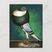 Norwich Cropper Blue Pied Briefkaart (Voorkant)