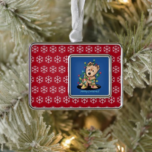 Norwich Framed Ornament (Boom)