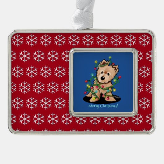 Norwich Framed Ornament (Voorkant)