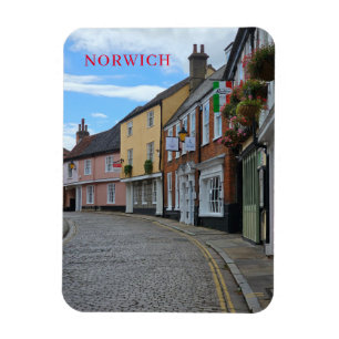 Norwich kleurrijke gebouwen uitzicht koelkastmagne magneet