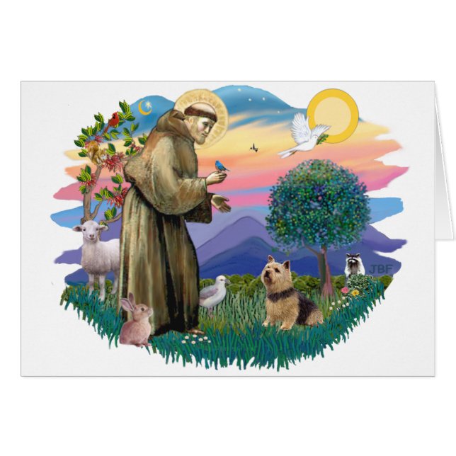 Norwich Terrier (Voorkant Horizontaal)