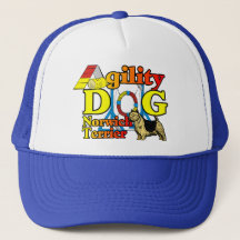 Norwich_Terrier_Agility
