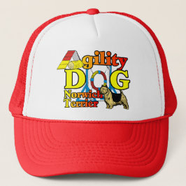 Norwich_Terrier_Agility Trucker Pet