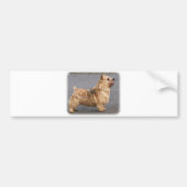 Norwich Terrier Bumpersticker (Voorkant)