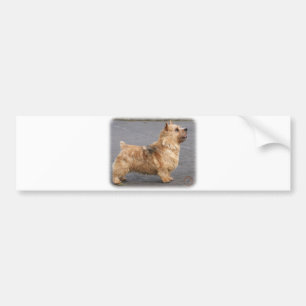 Norwich Terrier Bumpersticker