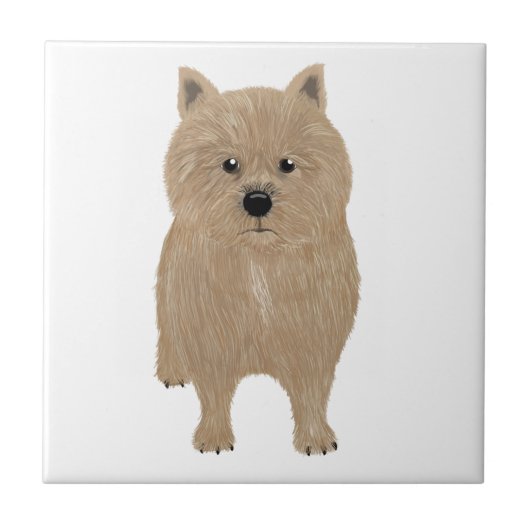 Norwich Terrier Ceramic Tegel Tegeltje (Voorkant)