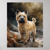 Norwich Terrier Dog Art Print Poster (Voorkant)