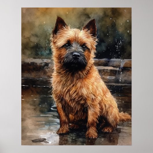 Norwich Terrier Dog Art Print Poster (Voorkant)
