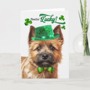 Norwich Terrier Dog Feelin' Lucky St Patrick's Day Feestdagen Kaart