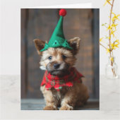 Norwich Terrier Elf Puppy Kerst Kaart (Gele Bloem)