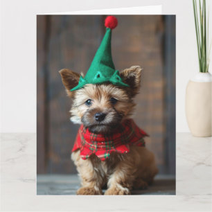 Norwich Terrier Elf Puppy Kerst Kaart