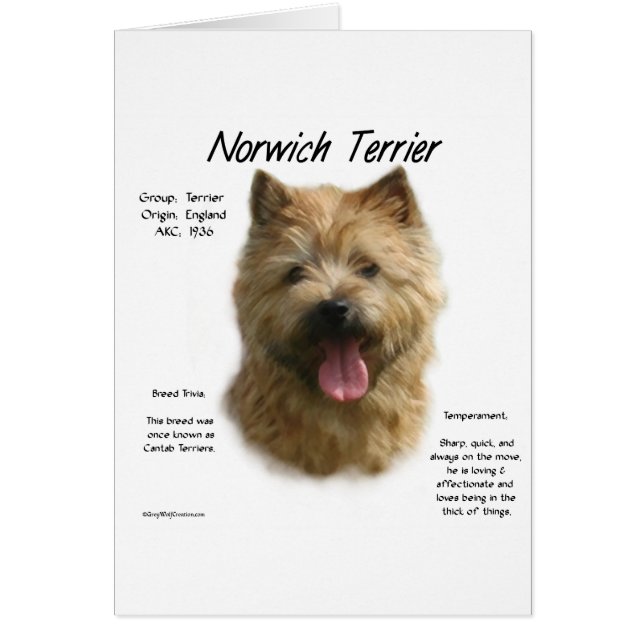 Norwich Terrier Geschiedenis Ontwerp (Voorkant)