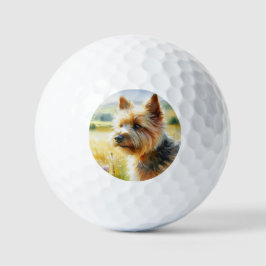 Norwich Terrier Golfballen
