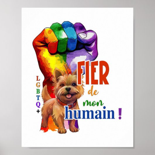Norwich Terrier hond Poster (Voorkant)