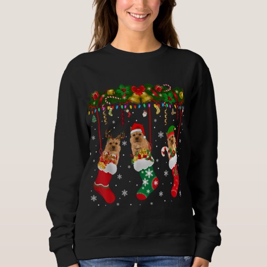 Norwich Terrier in Sock Xmas Reindeer Santa ELF do Trui (Voorkant)