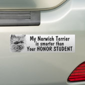 Norwich Terrier is slimmer dan student - grappig Bumpersticker (Op auto)
