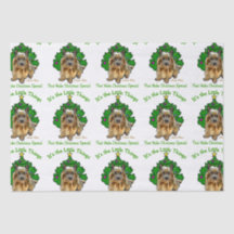 Norwich Terrier Kerstmis
