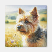 Norwich Terrier Magneet (Voorkant)