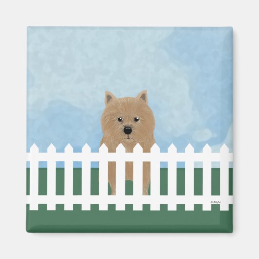 Norwich Terrier Magnet (Voorkant)