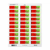 Norwich Terrier met kerstcadeaus Red Green Etiket (Full Sheet)