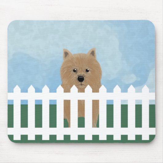 Norwich Terrier Muismat (Voorkant)