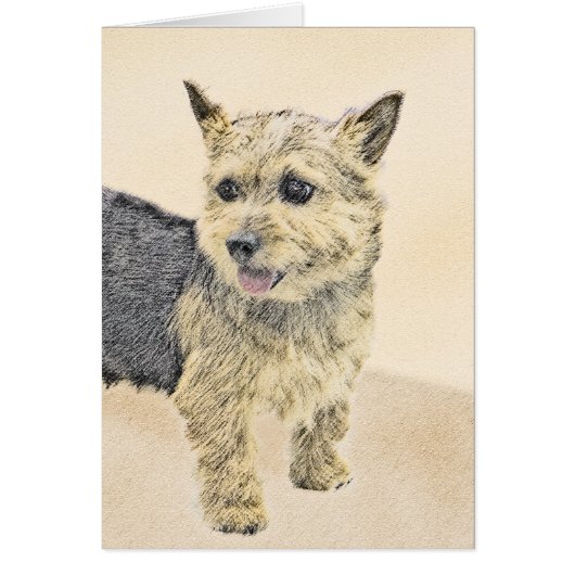 Norwich Terrier Painting - Cute Original Dog Art (Voorkant)