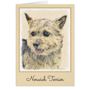Norwich Terrier Painting - Cute Original Dog Art