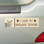 Norwich Terrier Painting - Cute Original Dog Art Bumpersticker (Op auto)