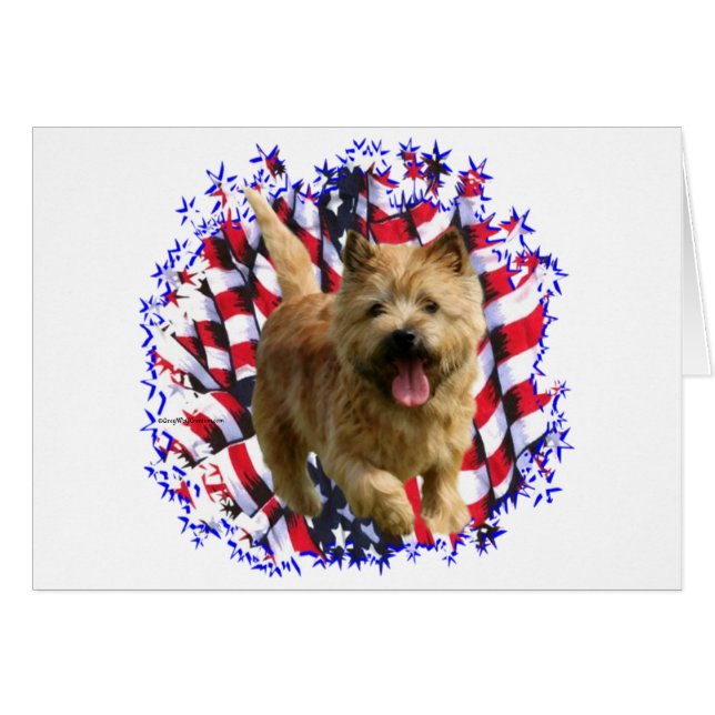 Norwich Terrier Patriot (Voorkant Horizontaal)