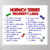 NORWICH TERRIER PL2 POSTER (Voorkant)