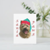 Norwich Terrier Santa Paws Feestdagenkaart (Staand voorkant)