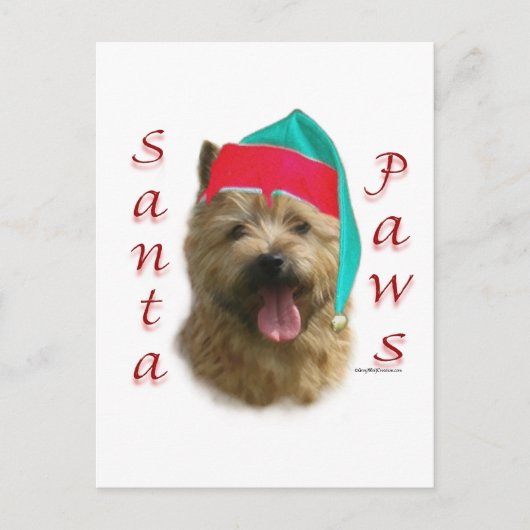 Norwich Terrier Santa Paws Feestdagenkaart (Voorkant)