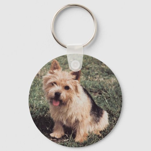 Norwich Terrier Sleutelhanger (Voorkant)